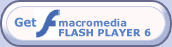 Download FlashPlayer 6